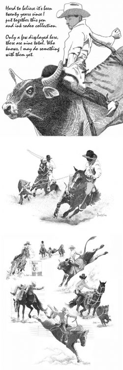 Rodeo Collection