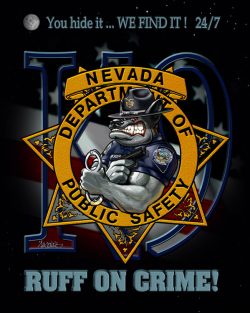 Nevada Department of Public Safety